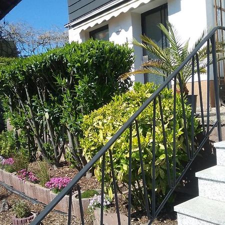 Apartment Am Kaffelstein - Mit Terrasse Kreuzwertheim Экстерьер фото