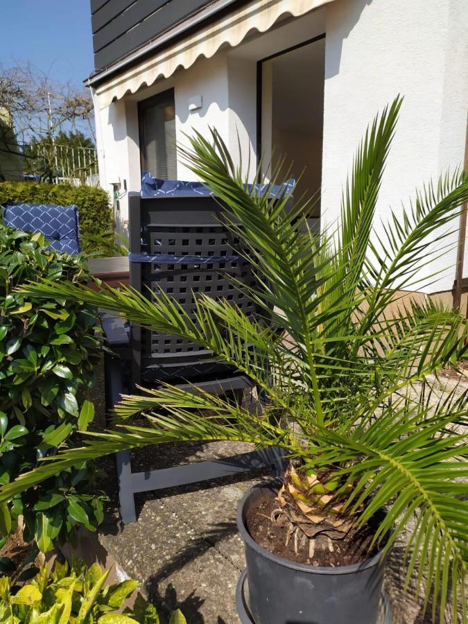 Apartment Am Kaffelstein - Mit Terrasse Kreuzwertheim Экстерьер фото